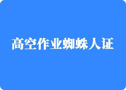 干美女大逼逼高空作业蜘蛛人证